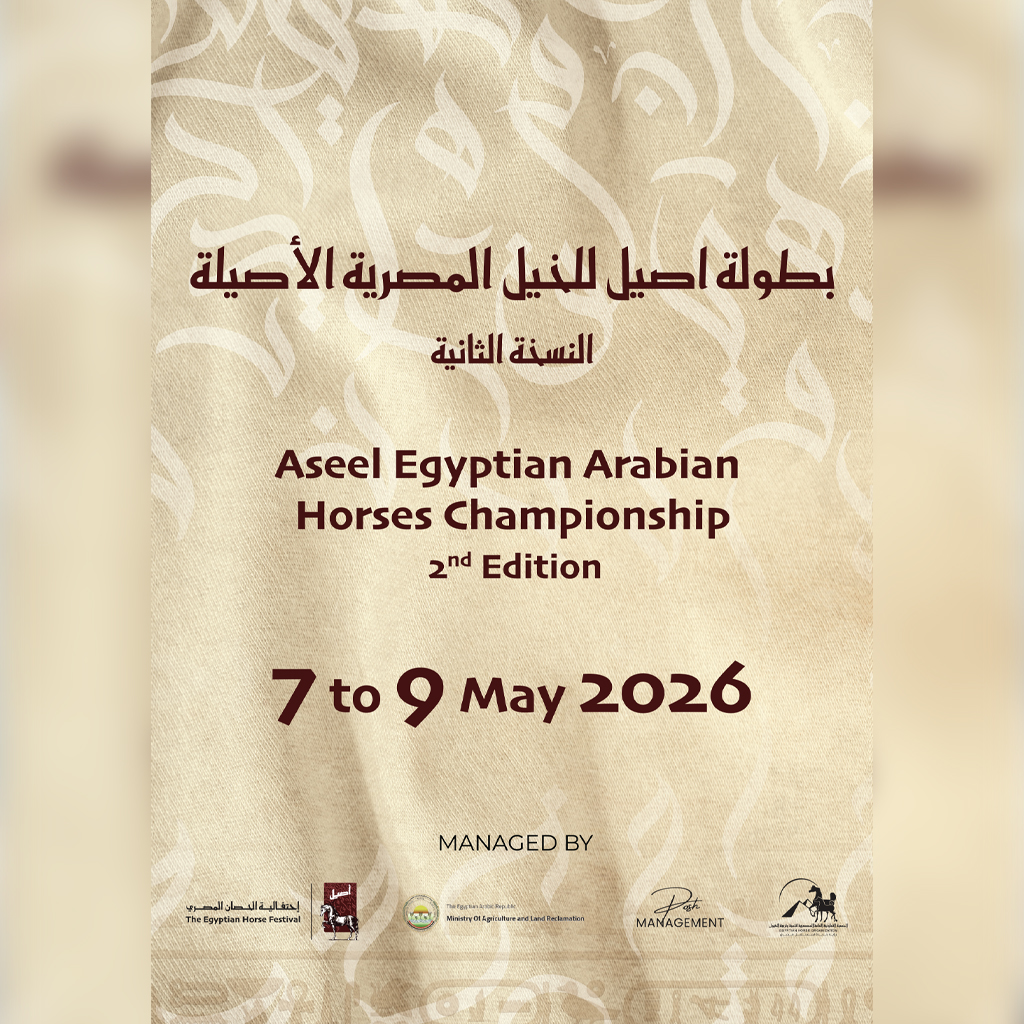 Aseel Egyptian Arabian Horses Championship