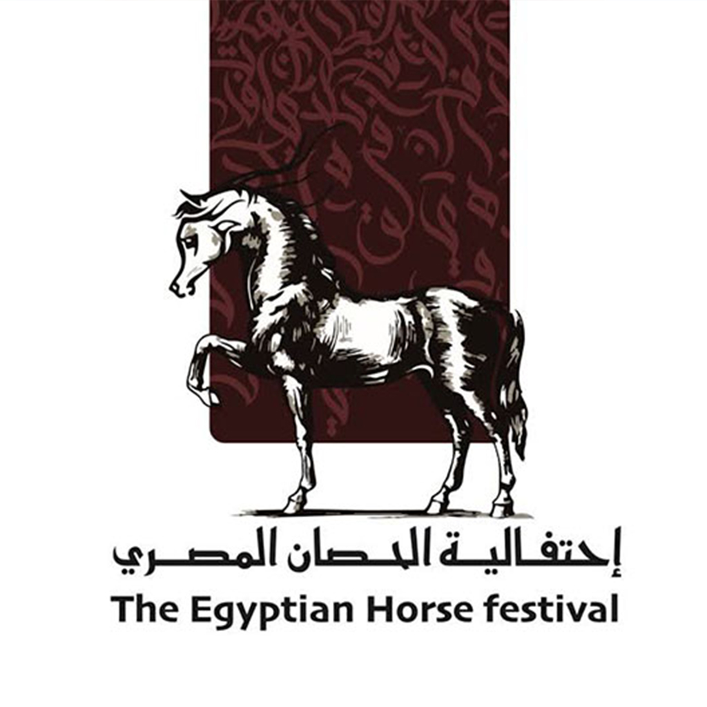 Aseel Egyptian Arabian Horses Festival Auction